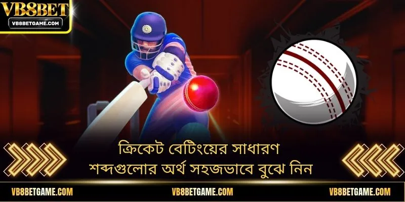 ক্রিকেট বেটিংয়ের সাধারণ শব্দগুলোর অর্থ সহজভাবে বুঝে নিন