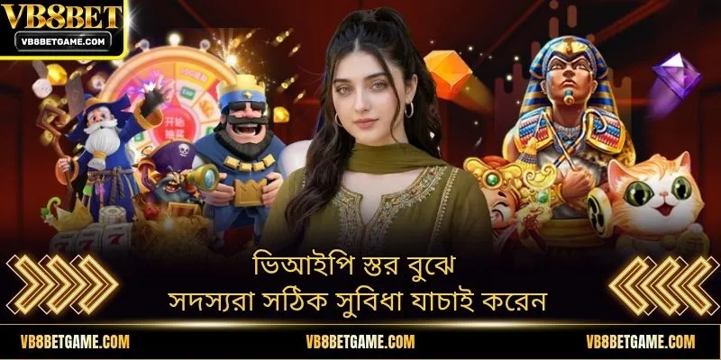 ভিআইপি স্তর বুঝে সদস্যরা সঠিক সুবিধা যাচাই করেন